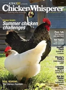 从家禽养殖到华尔街日报 一个养鸡专业户的媒体帝国传奇