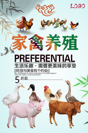 家禽养殖 致富新途径，健康新选择